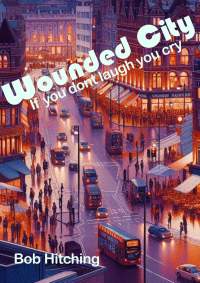 wounded city cover